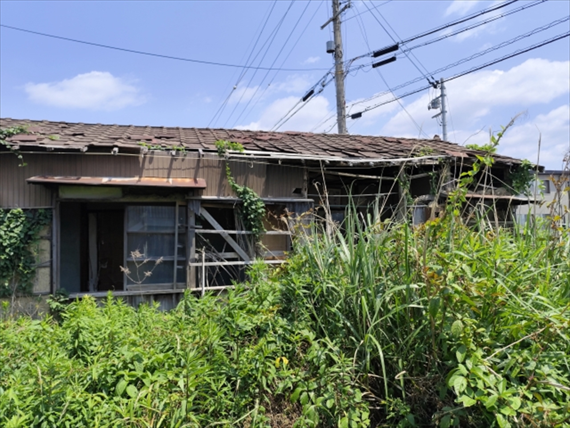 実績・お客様の声